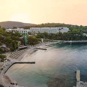 Complex Pine Bay *****