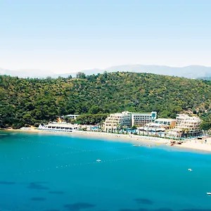 Complex Paloma Pasha *****